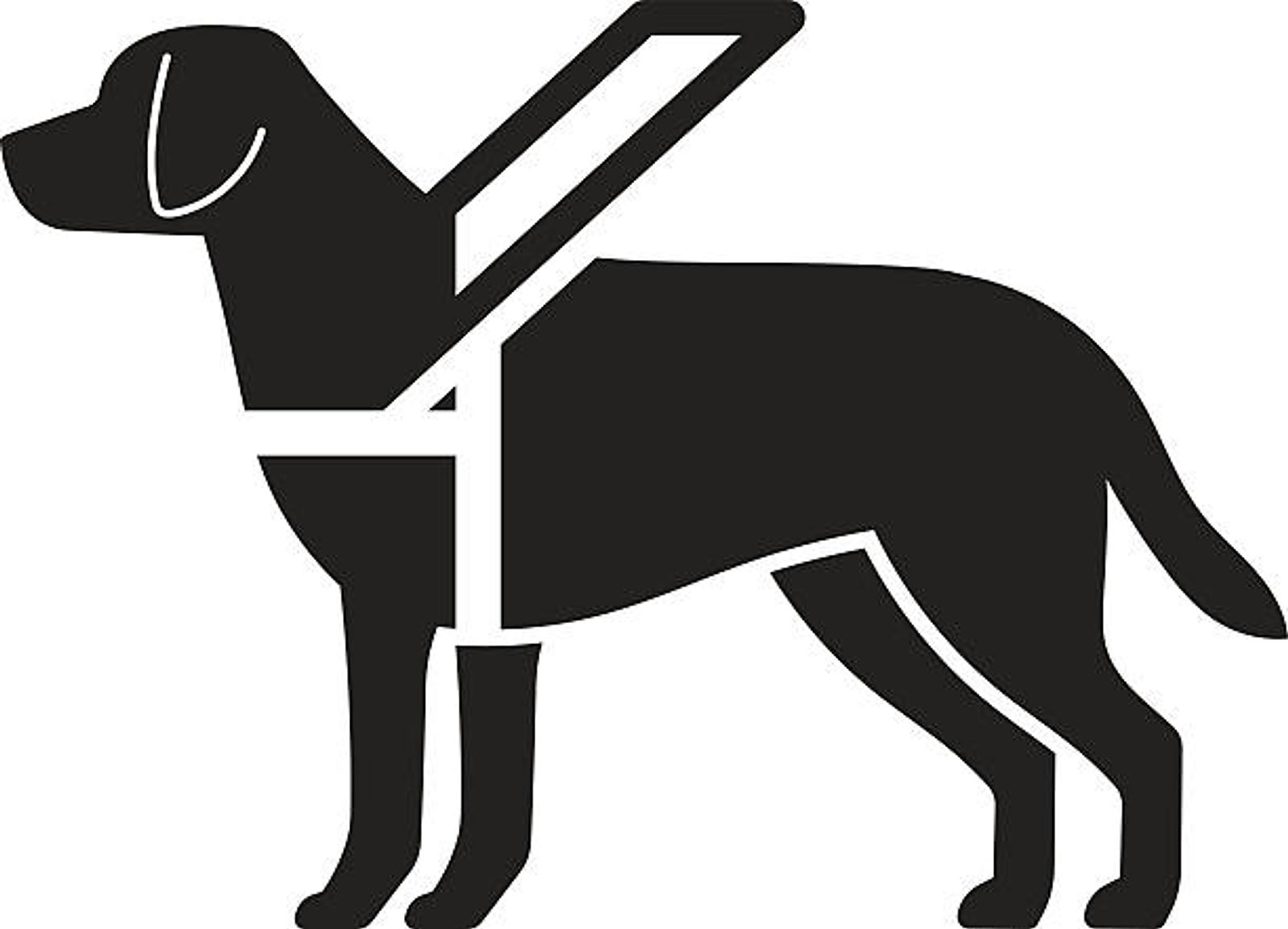 Chien-guide.jpg