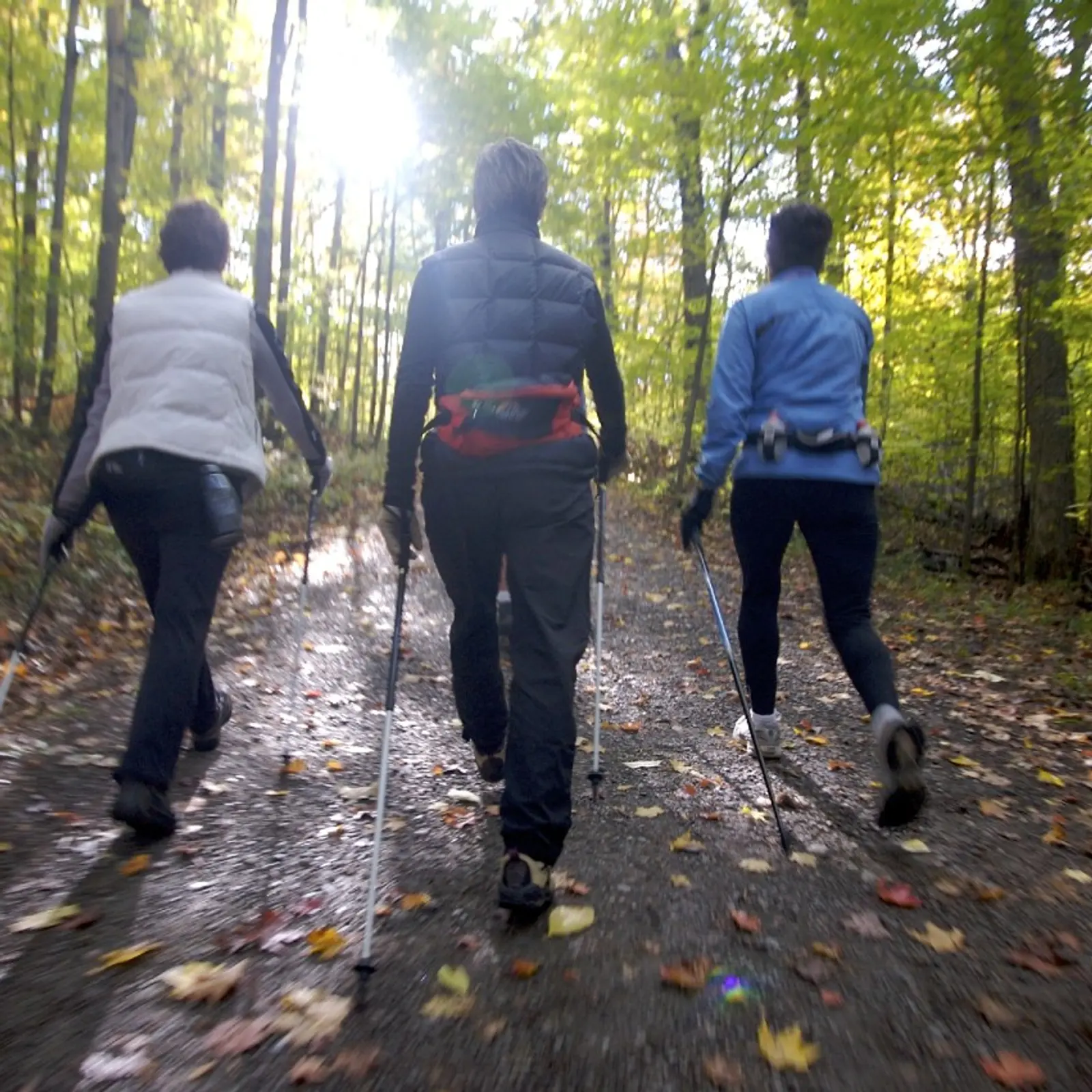 Marche nordique au bois de l'Huisserie